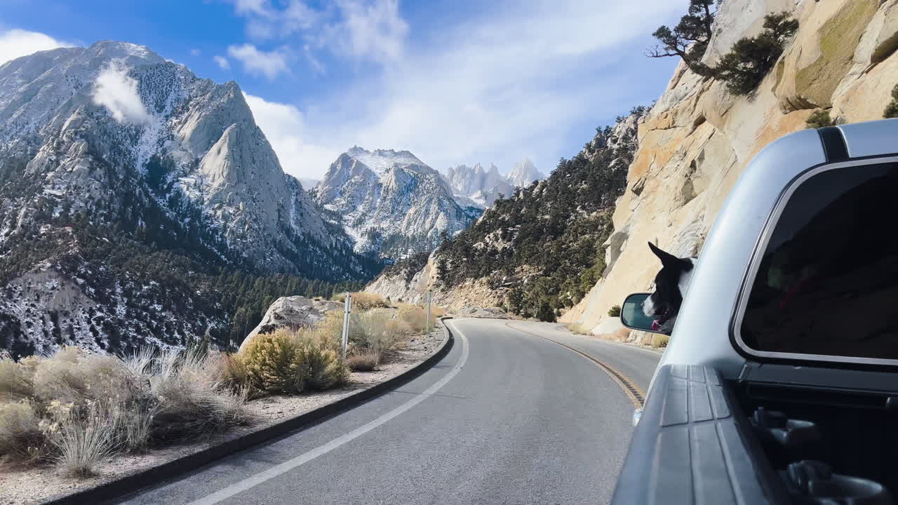 Un perro feliz mira por la ventanilla del coche durante un viaje panorámico por carretera en Alabama Hills, Bosque Nacional de Inyo, con impresionantes montañas, cielo azul y nubes
