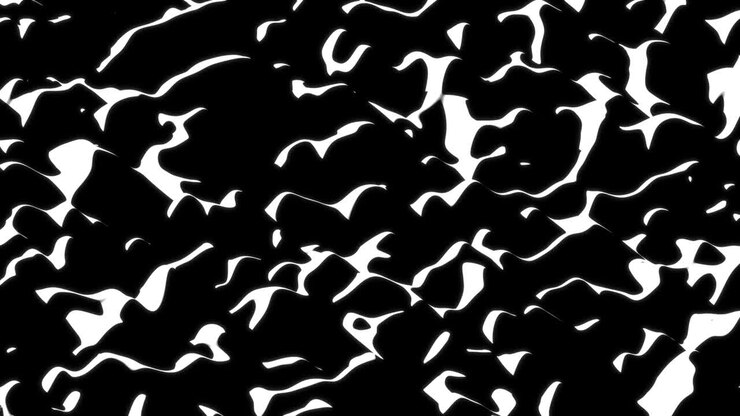 High Contrast Abstract Black and White Waves
