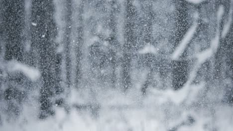 Winterlandschaft-Bei-Schneefall.-Abstrakter-Hintergrund-Für-Winterweihnachten-In-Superzeitlupe.