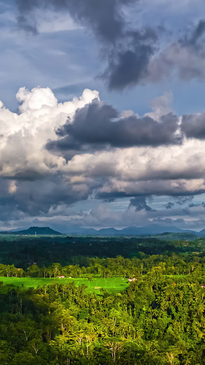Clouds Moving Over Rural Area And Forest In Summer. - vertical, timelapse shot