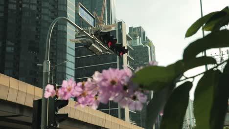 Red-Traffic-Light-with-Buildings-in-the-Background,-Bangkok,-Thailand