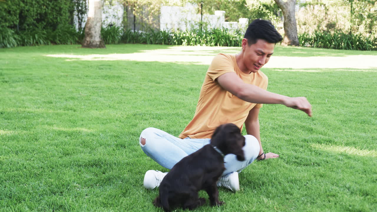 Asian man playing with dog on grass, enjoying sunny day outdoors, in park, copy space
