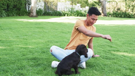 asian man playing with dog on grass, enjoying sunny day outdoors, in park, copy space