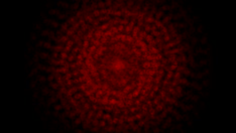 abstractas luces rojas borrosas aisladas con bokeh. puntos circulares brillantes movimiento animación 3d.