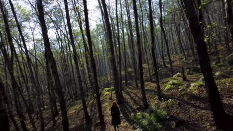 hermoso atardecer luz de color dorado en el bosque una mujer está caminando en el bosque aventura pacífica senderismo viaje a la naturaleza viaje al entorno de montaña área natural empinada campo fin de semana alegre iran