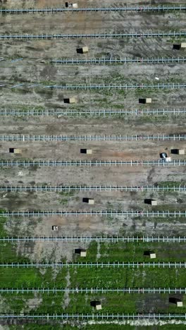 aerial view of a site where a large solar park is under construction. vertical shot.