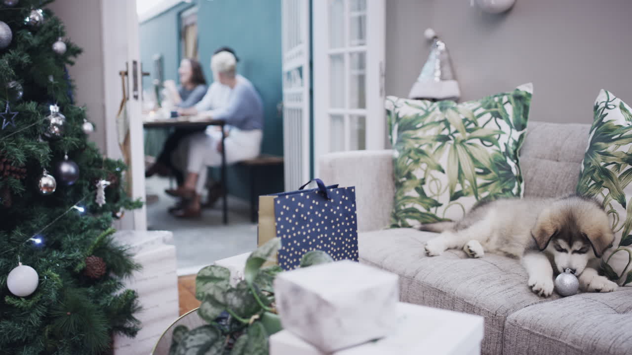 크리스마스는 누구에게나 정말 큰 선물이에요