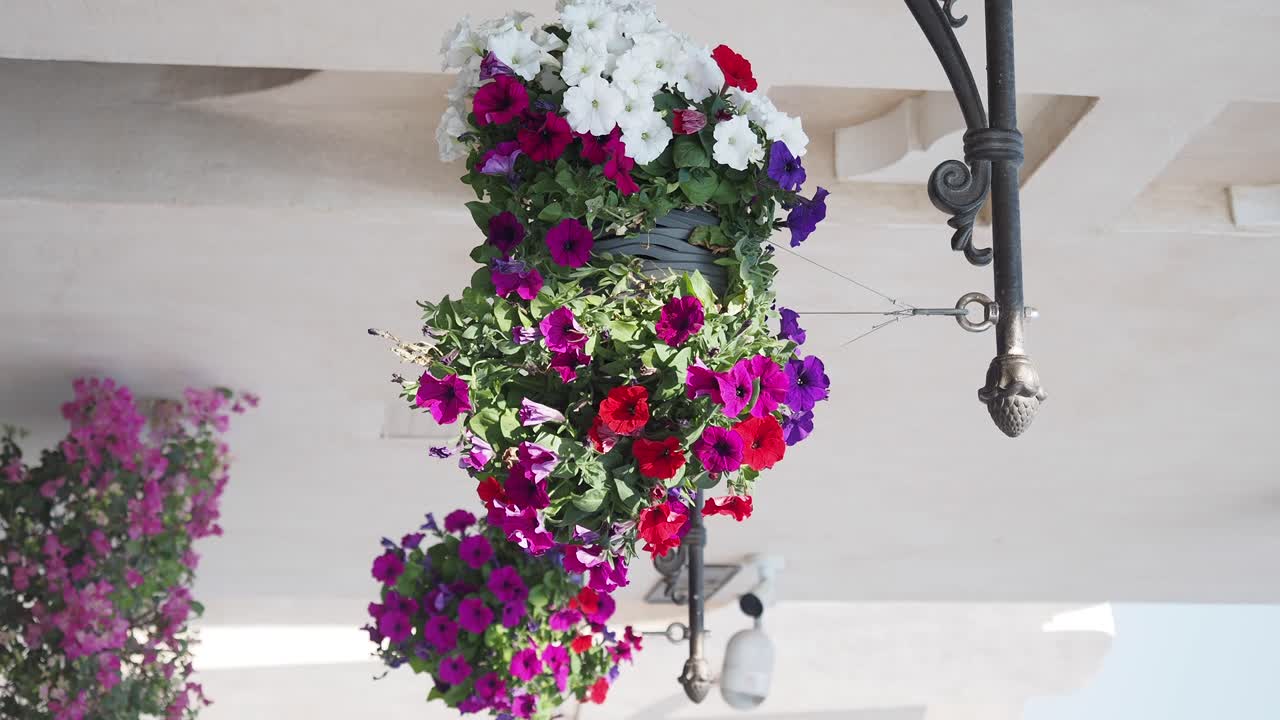 Colorful Hanging Flower Baskets