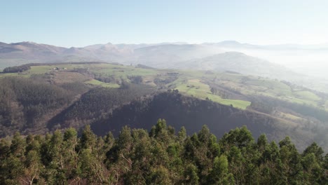 tall green trees atop a mountain in spain's cantabria province while the valley is largely shrouded in low-hanging fog