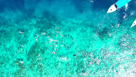 a large group of tourists snorkeling in the crystal clear waters of a shallow blue lagoon