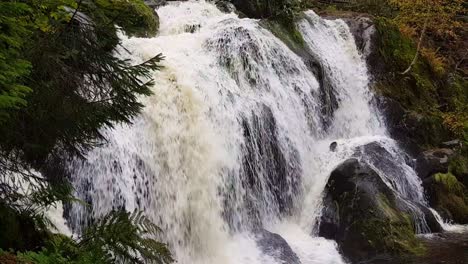 static close up view of triberg waterfall during fall season day, schwarzwald germany