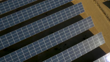 an array of solar panels lying on a plot of land