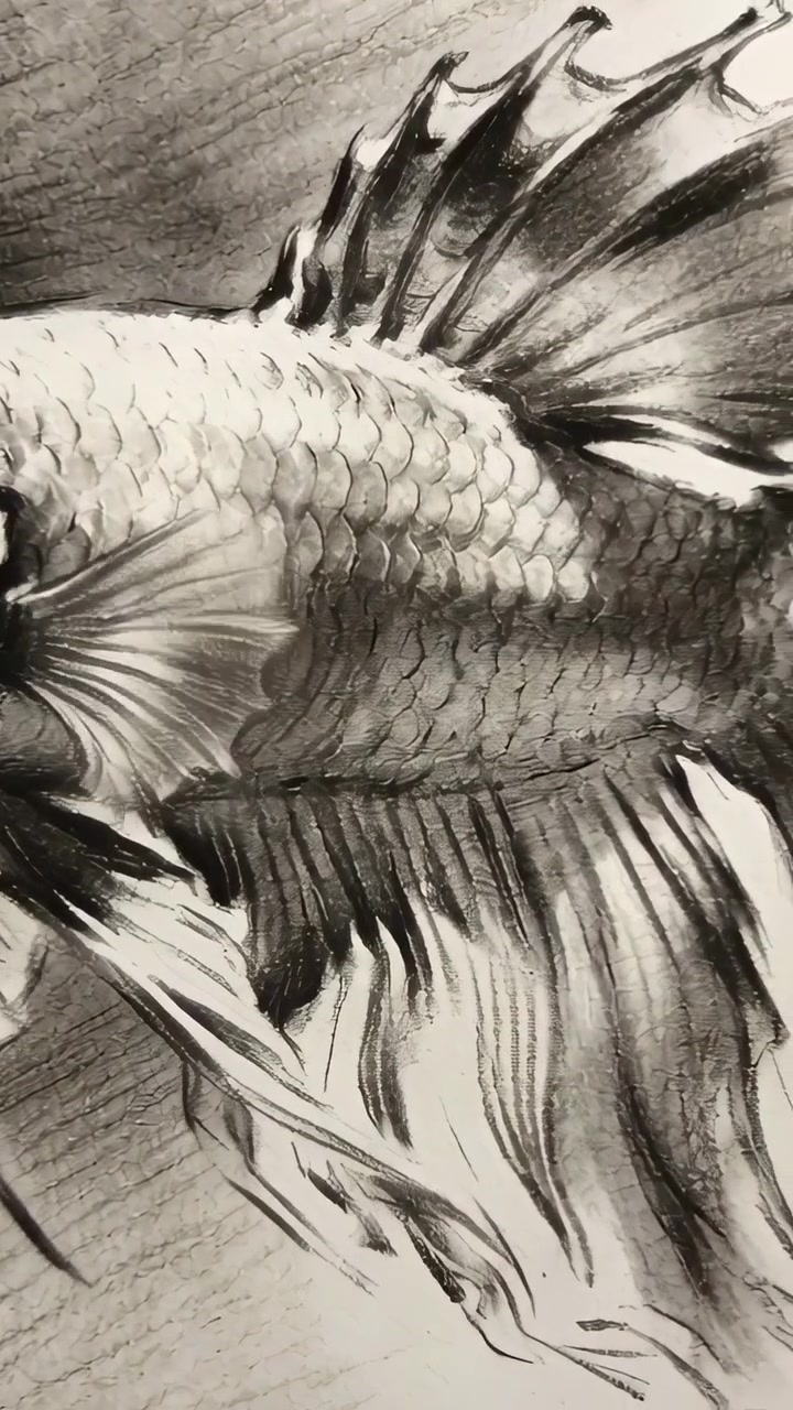 Video verticale: Telecamera che esegue una panoramica dopo un tocco, muovendosi sulla scrivania per mostrare il dettaglio di un disegno di pesce a carboncino.