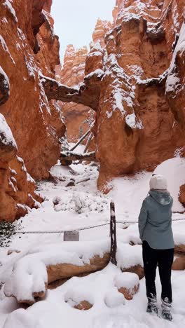 a Female Hiker Surveys a Winter Landscape with Stunning Red Rocks Mercifully Covered in Fresh Snow a Female Hiker Surveys a Winter Landscape with Stunning Red Rocks Mercifully Covered in Fresh Snow
