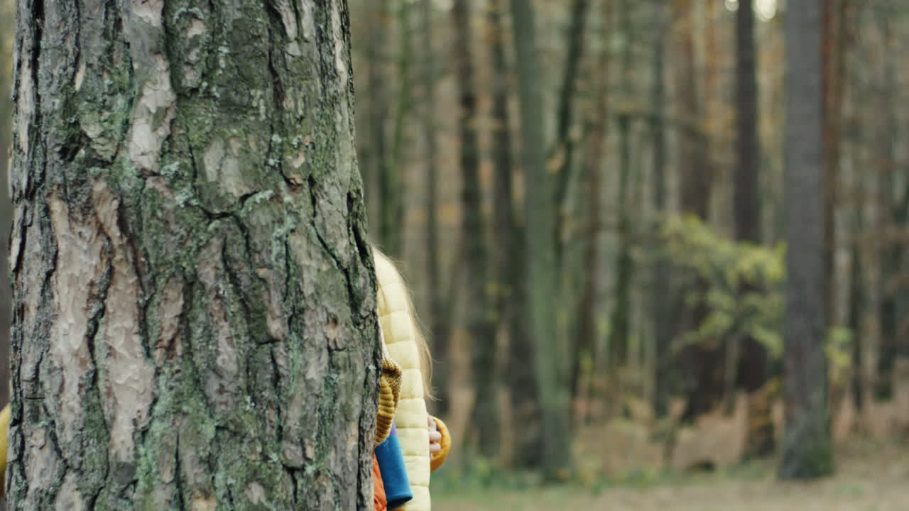 두 명의 귀여운 소년과 숲의 나무 줄기 뒤에 있는 카메라를 바라보는 한 소녀의 초상화