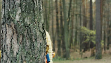 portrait of two cute boys and one girl looking at camera behind a tree trunk in the forest