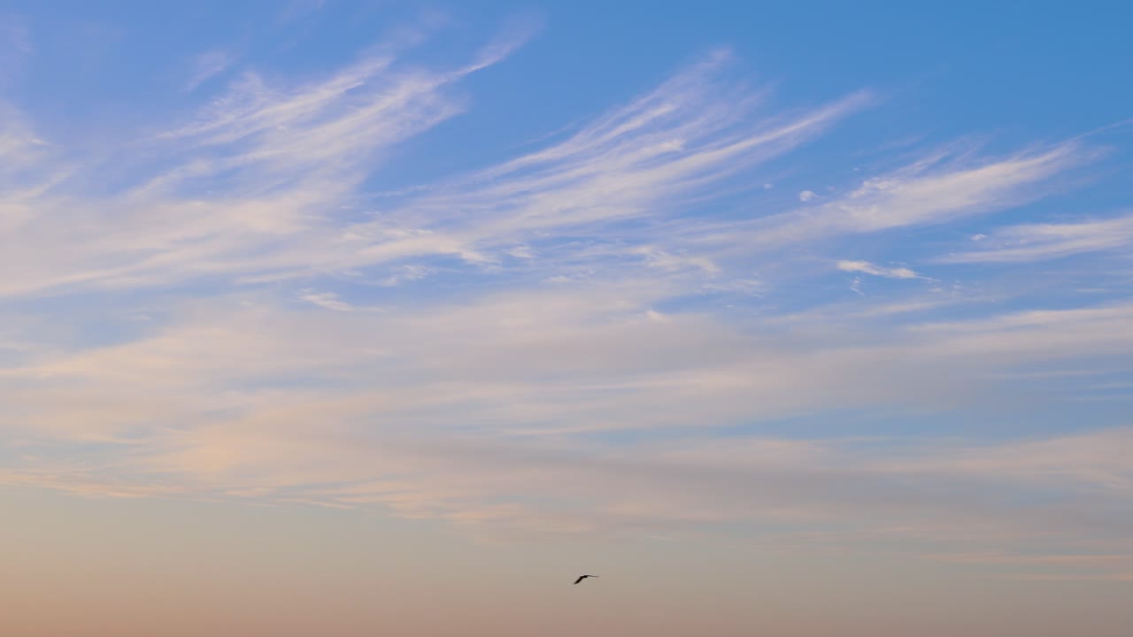 평평한 각도에서 해가 지는 밝은 파란 하늘