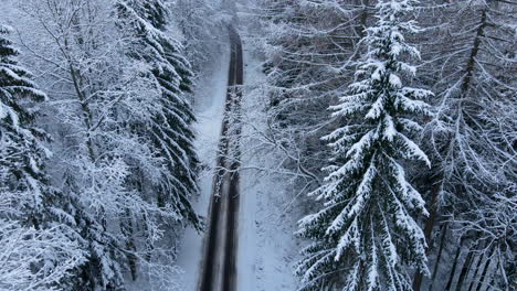 vuelo aéreo hacia atrás sobre una carretera parcialmente limpia a través del bosque nevado de invierno