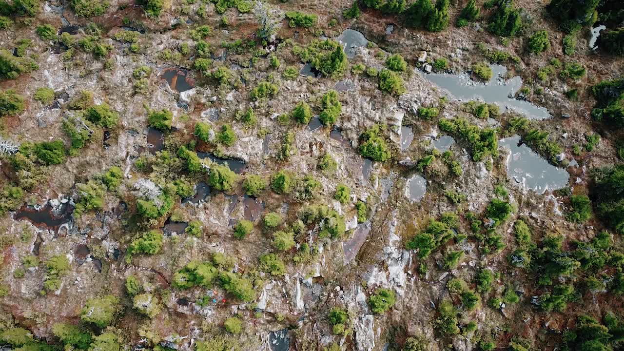 muchos pequeños lagos aéreos de las montañas de la isla de vancouver, minnas ridge