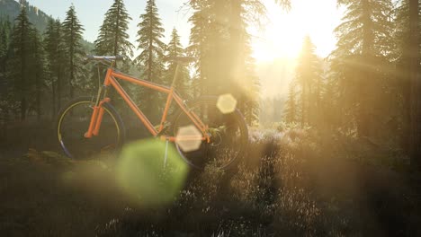 bicycle in mountain forest at sunset