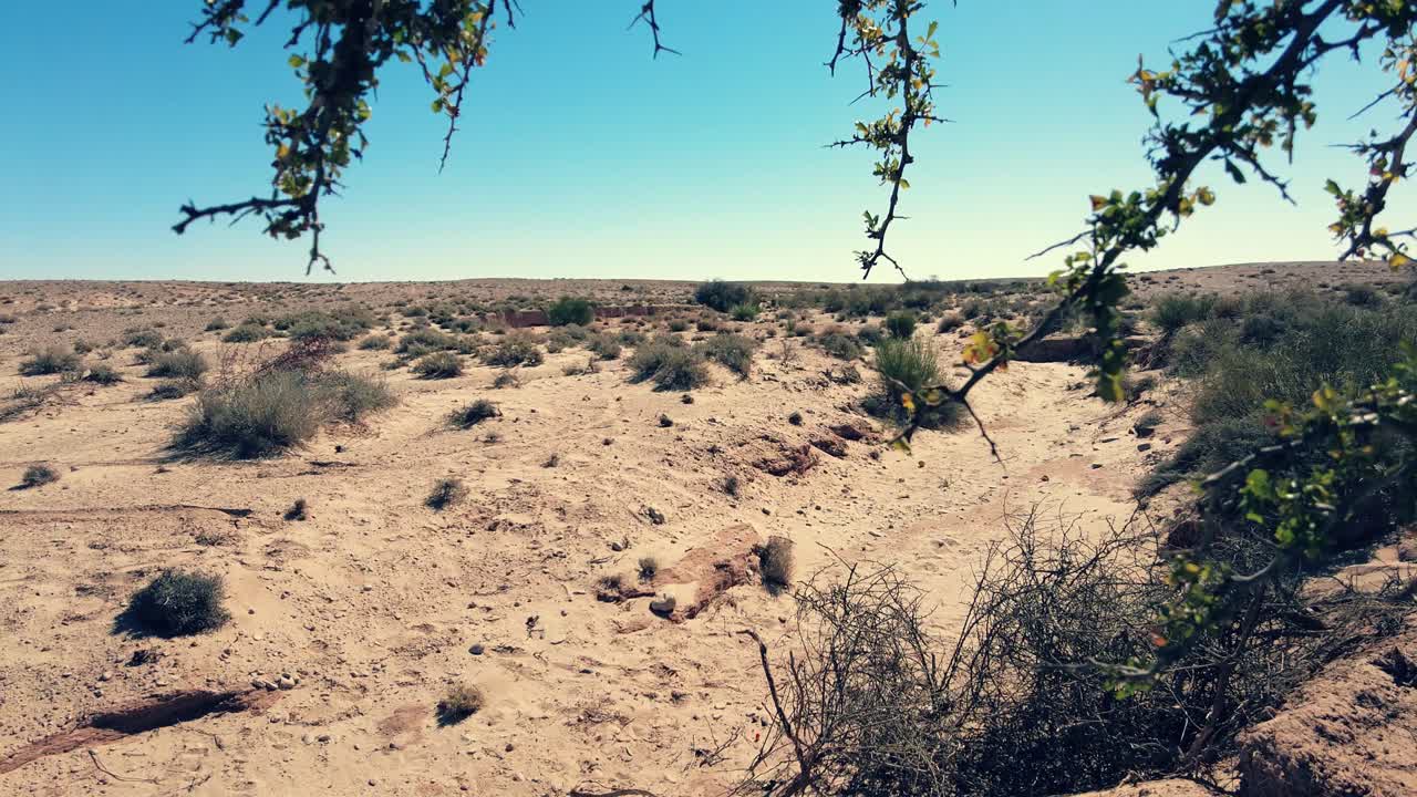 알제리 의 비스크라 사하라 의 건조 한 풍경