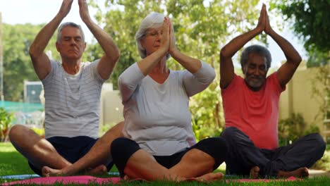 Senior-friends-performing-yoga-in-garden-4k