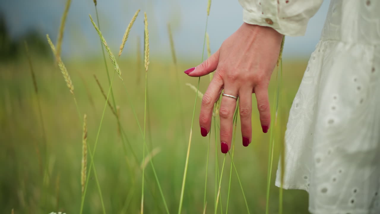 A close-up shot of a woman's hand with red nail polish, delicately grazing tall grasses in a serene field. She wears a white, patterned dress, and a silver ring adorns her finger