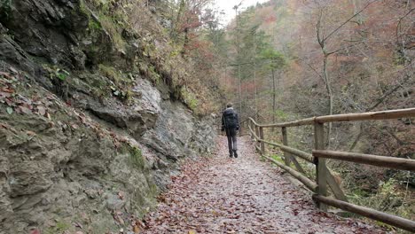 man walking away from camera path trail nature forest rock mountain autumn day