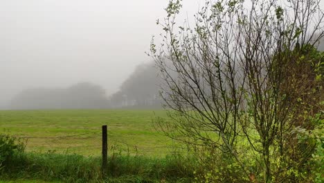 Green-fields-in-the-English-countryside-in-UK