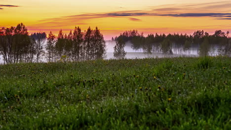 white fog movement in timelapse