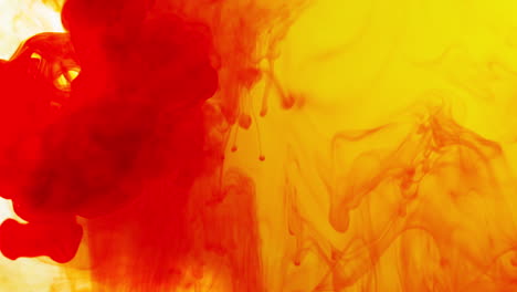 red and yellow paint or dye dropped into water against white background to create swirling colourful smoke background 2