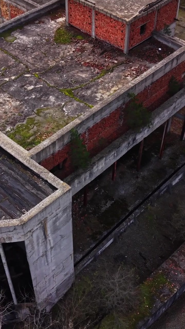 Veduta dal tetto abbandonato di un edificio fatiscente circondato dalla natura