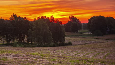 een gouden zonsopgang terwijl wolken over besneeuwde landbouwgronden stromen, een vijver, een bosje bomen - time-lapse