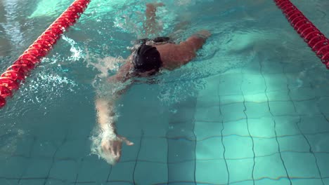 hombre en forma nadando en la piscina