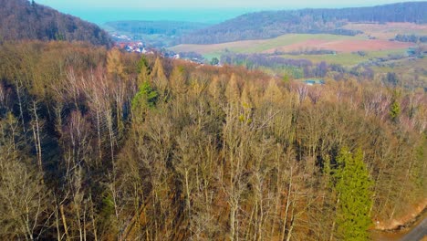 drone footage of mixed autumn forest and rural village