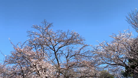 Panorama-Vom-Himmel-Bis-Zum-Boden