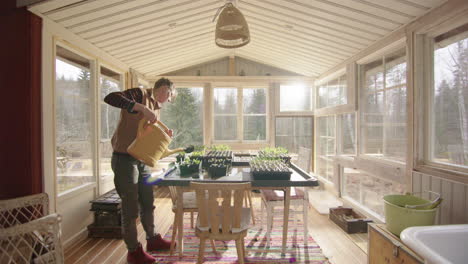 lady watering seedlings with watering can in glasshouse in early morning light