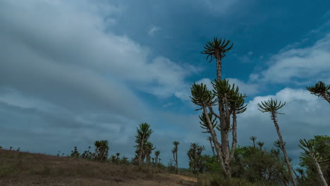 lapso de tiempo de noche cabo são braz, angola, áfrica