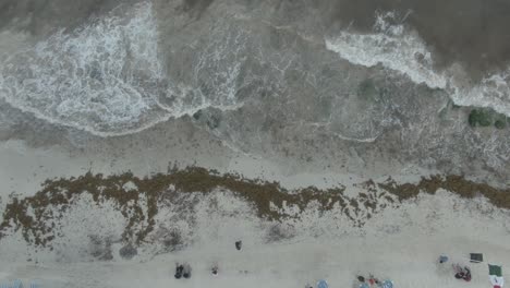 Sargassum-Algen-Am-Strand-Von-Playa-Del-Carmen-Quintana-Roo-Mexiko-11