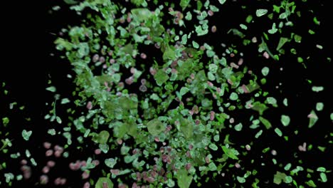 explosión en los fragmentos de coronavirus verde sobre un fondo negro