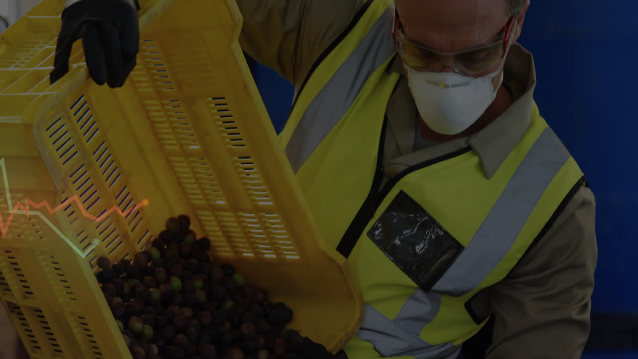 Déversement de raisins récoltés dans une caisse jaune, un ouvrier portant un équipement de sécurité dans un vignoble.