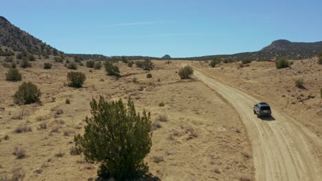 antena mientras el vehículo pasa por el ganado en un camino de tierra en el campo del desierto