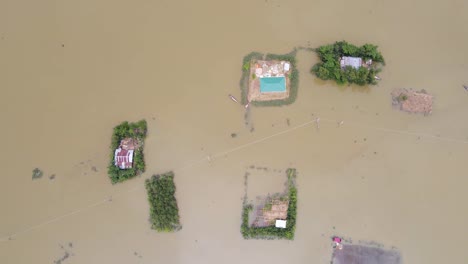 rural houses stand isolated by floodwaters, highlighting the impact of seasonal flooding in sylhet, bangladesh, south asia - aerial descend shot