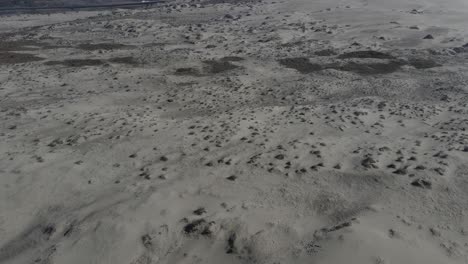 Beach-with-large-sand-dunes