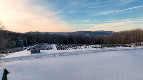 aerial-push-over-old-homeplace-atop-rich-mountain-near-boone-nc