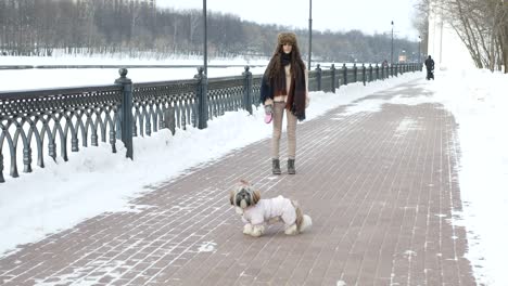 walk with a dog. girl is walking with the dog shih tzu through the winter park.