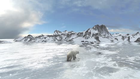 polar bear on arctic ice