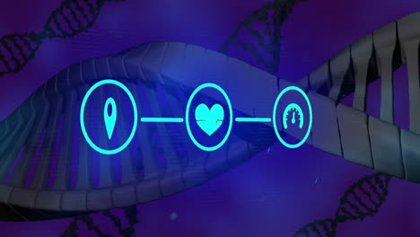 보라색 배경 위에 dna 가닥이 회전하고 아이콘 네트워크의 애니메이션