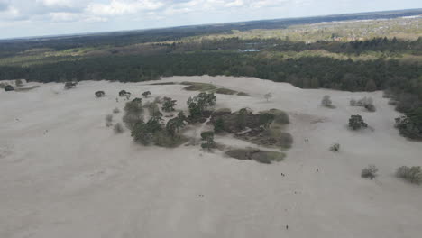 Oasis-Verde-En-Medio-De-Dunas-De-Arena-Rodeadas-De-Bosque-Verde