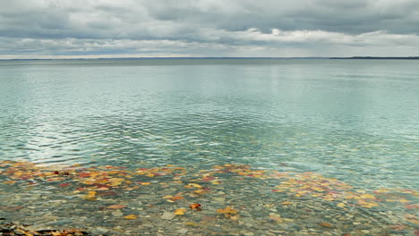 Autumn-leaves-floating-on-lake-michigan